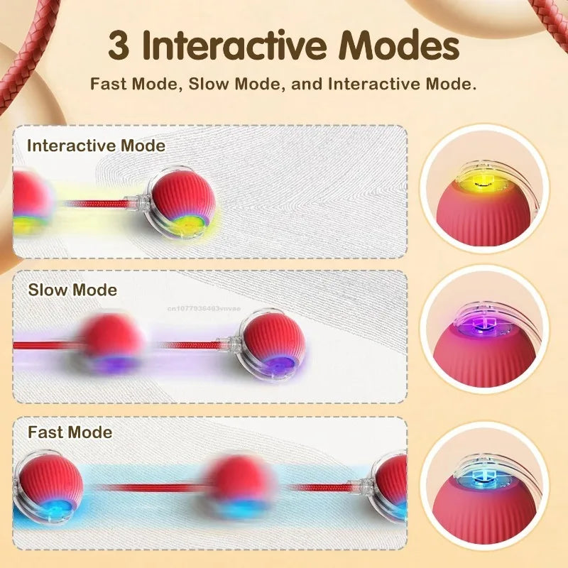 Interactive Self-Moving Electric Cat Ball - Automatic Rolling Toy for Kittens
