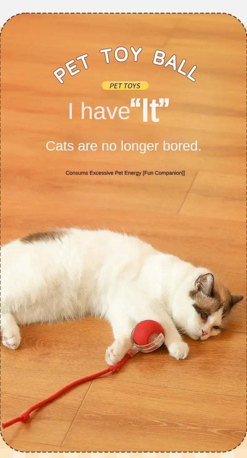 Interactive Self-Moving Electric Cat Ball - Automatic Rolling Toy for Kittens