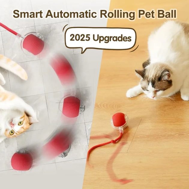 Interactive Self-Moving Electric Cat Ball - Automatic Rolling Toy for Kittens