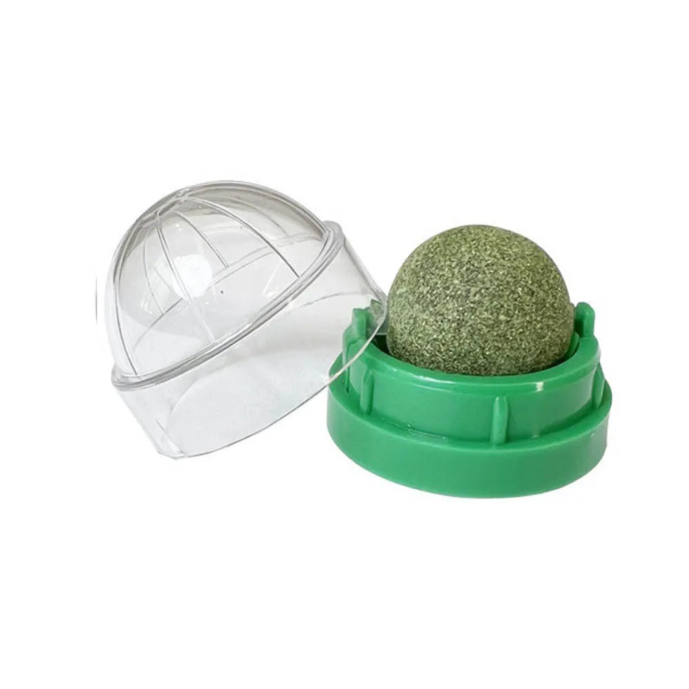 Catnip Wall Stick-On Ball Toy & Scratcher - Natural Treats for Digestion