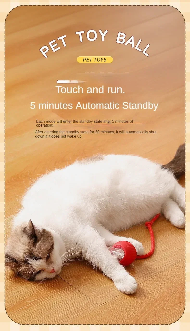 Interactive Self-Moving Electric Cat Ball - Automatic Rolling Toy for Kittens