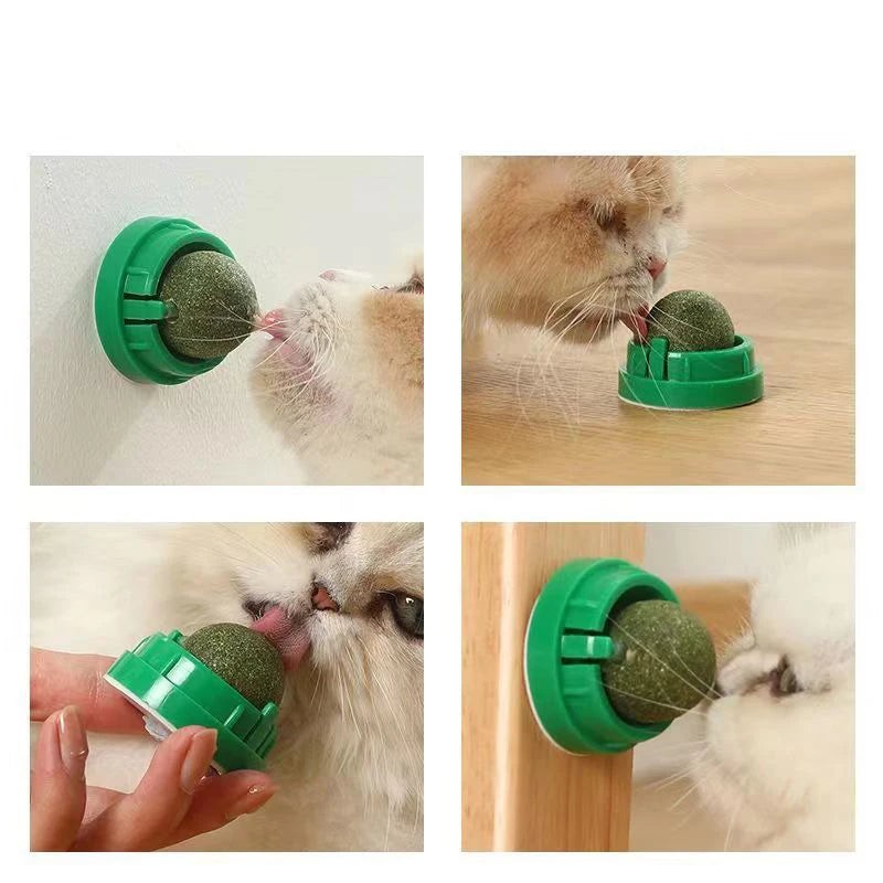 Catnip Wall Stick-On Ball Toy & Scratcher - Natural Treats for Digestion