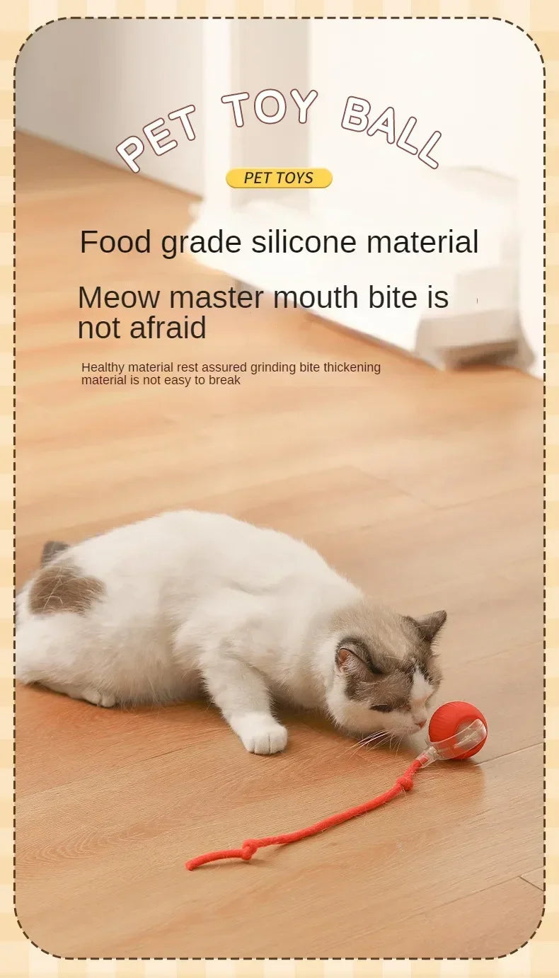 Interactive Self-Moving Electric Cat Ball - Automatic Rolling Toy for Kittens