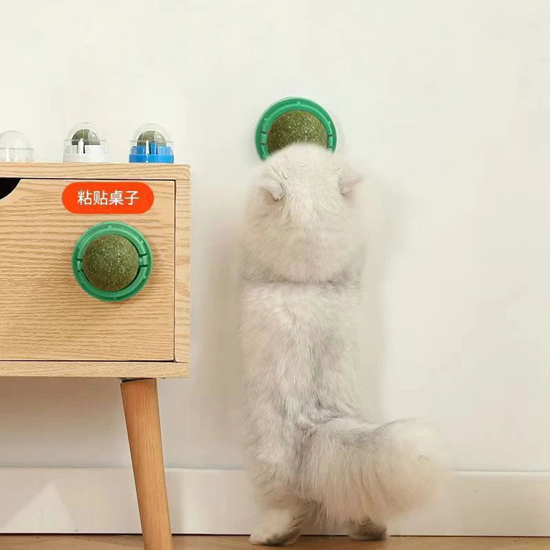 Catnip Wall Stick-On Ball Toy & Scratcher - Natural Treats for Digestion