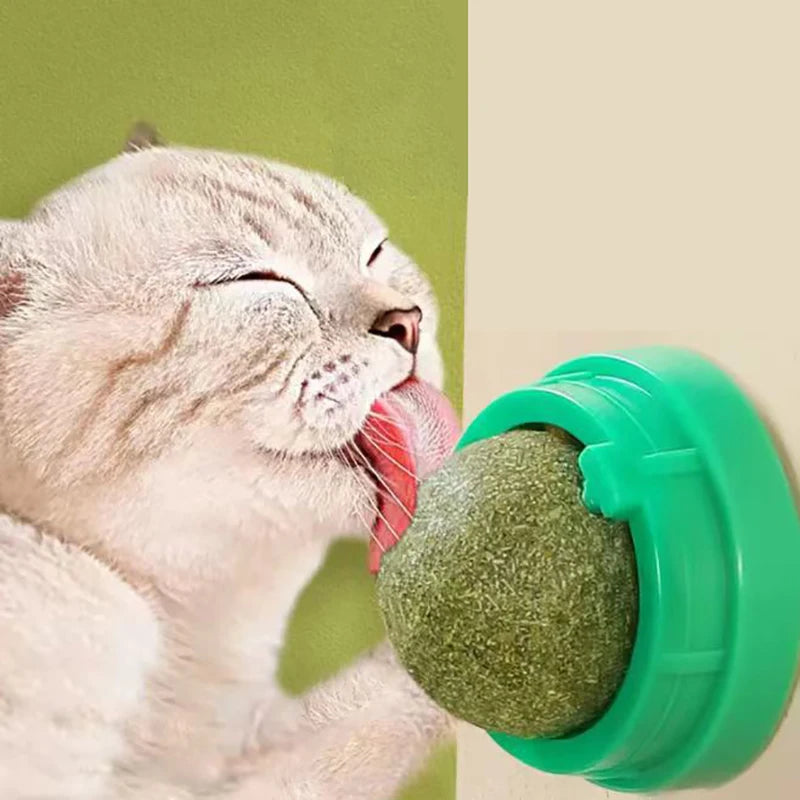 Catnip Wall Stick-On Ball Toy & Scratcher - Natural Treats for Digestion