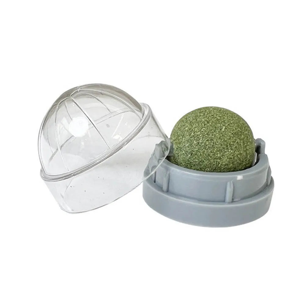 Catnip Wall Stick-On Ball Toy & Scratcher - Natural Treats for Digestion
